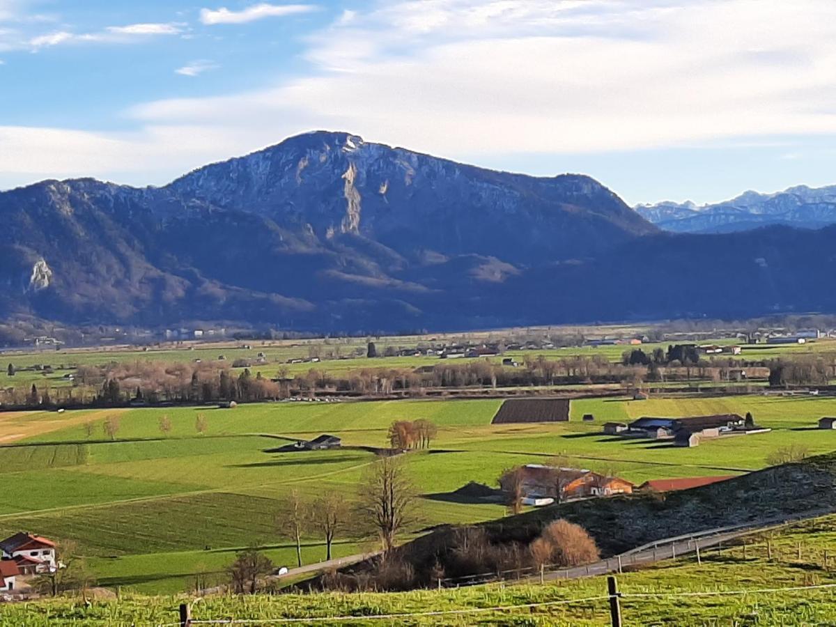 Hotel Alpspitz B&B グライナウ エクステリア 写真