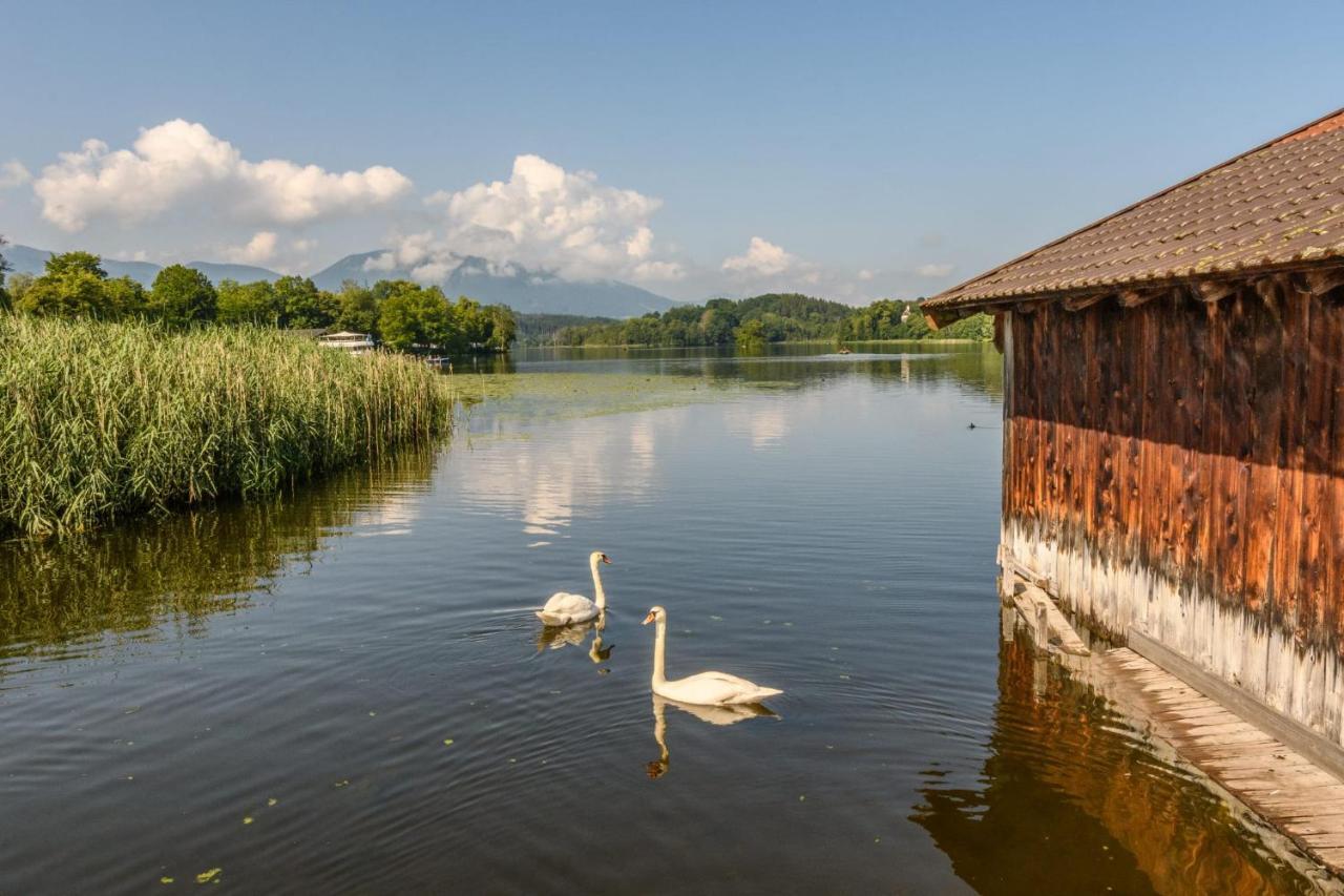 Hotel Alpspitz B&B グライナウ エクステリア 写真