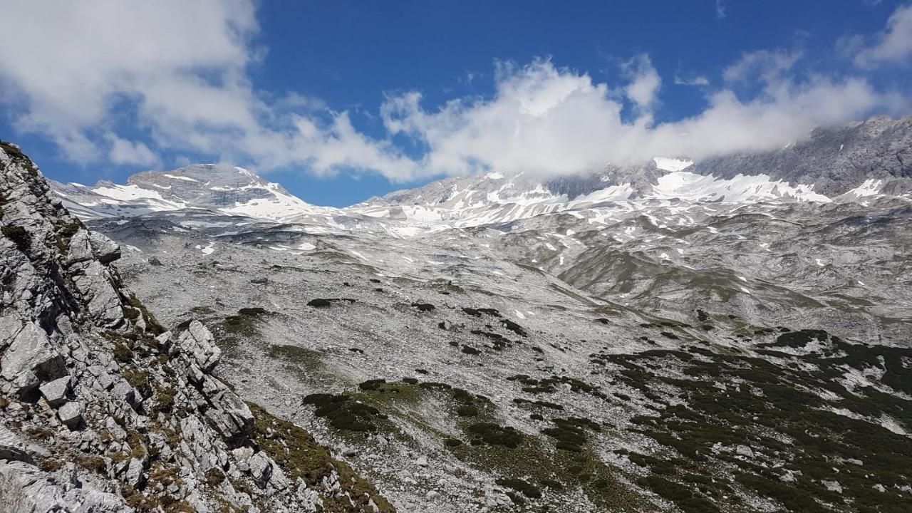 Hotel Alpspitz B&B グライナウ エクステリア 写真