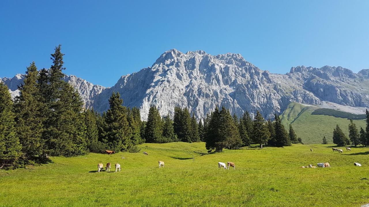 Hotel Alpspitz B&B グライナウ エクステリア 写真